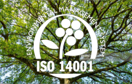 Träd i bakgrunden med ISO 14001-stämpel – miljöledningssystem